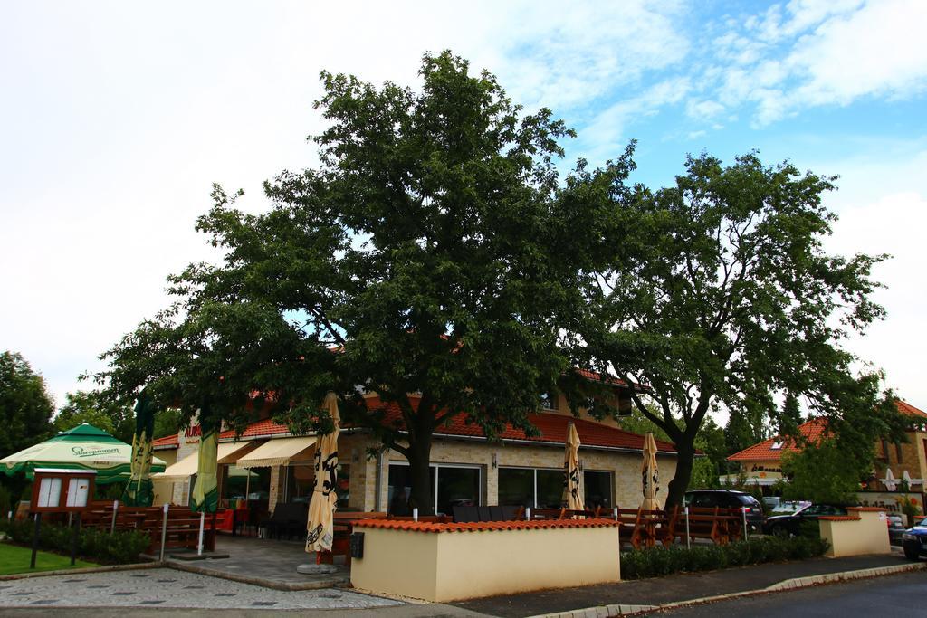 Aurora Panzió Acomodação com café da manhã Bük Exterior foto